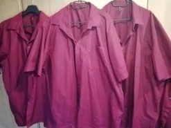 6 Herrenhemd bordeaux