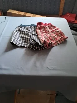 2 Shorts gr. M