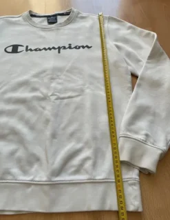 Champion Pulli