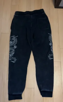 Dragon sweatpants