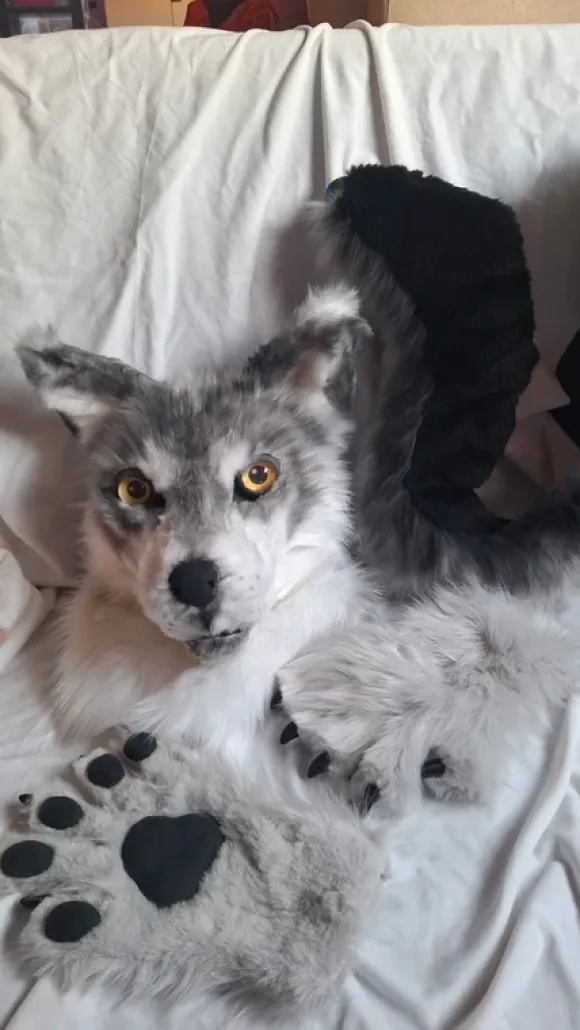 Fursuit commisions