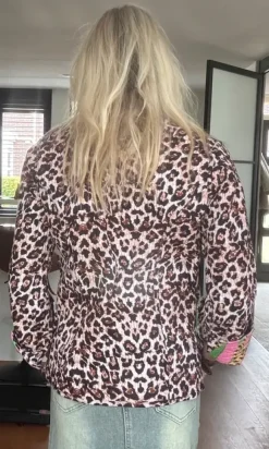 Jasje