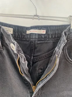 Levi’s balloon leg 25
