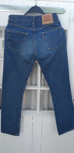 Levis,501,W29/L30,must have