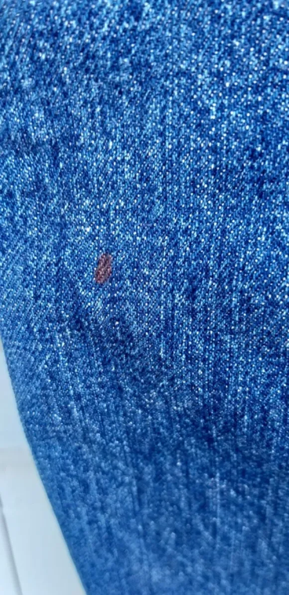 Levis,501,W29/L30,must have