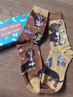 Lustige Socken in Geschenkbox NEU Dackel
