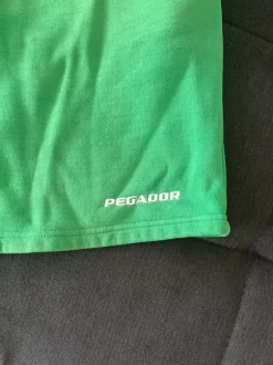Pegador Shorts Grün