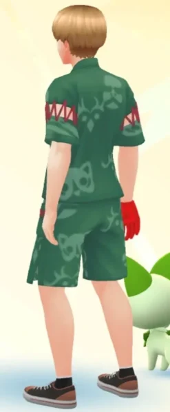 Pokemon Kostüm.