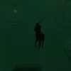 Polo Ralph Lauren Grünes Big Pony Polo Shirt – Top Zustand
