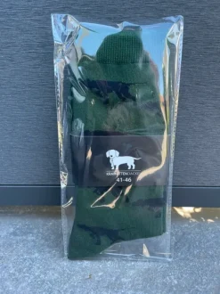 Socken Jagdhund, Vorstehhund