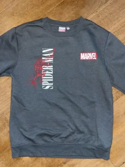 Spiderman Pullover