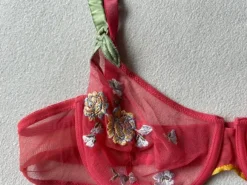 Stunning embroidered mesh bra