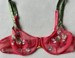 Stunning embroidered mesh bra