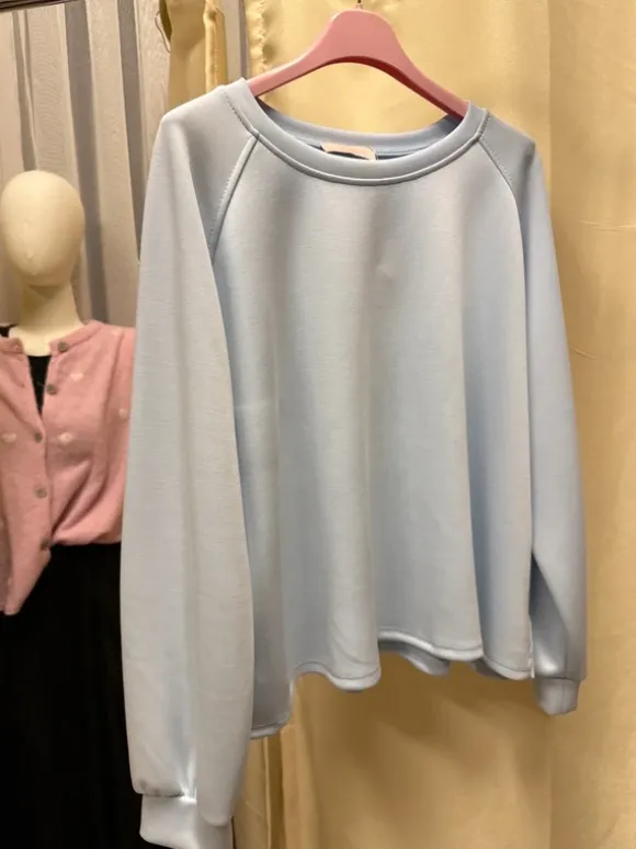 Sweatshirt hellblau in butterstoff Neu