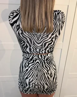 Zebra Zweiteiler